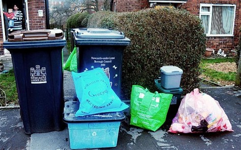 bins_1868860b
